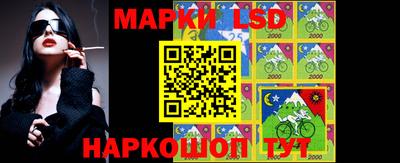 mdpv Ярославль
