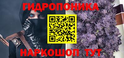 стаф Янаул