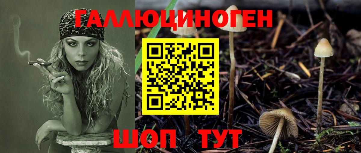 Галлюциногенные грибы Cubensis  Псилоцибиновые грибы Psilocybine cubensis  Бузулук  Вход с VPN 