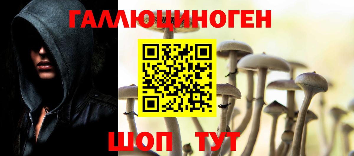 Галлюциногенные грибы Psilocybine cubensis Бузулук